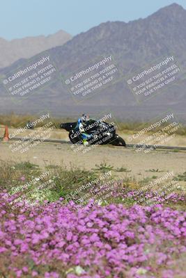 media/Feb-04-2023-SoCal Trackdays (Sat) [[8a776bf2c3]]/Turn 15 Inside Blooming (1050am)/